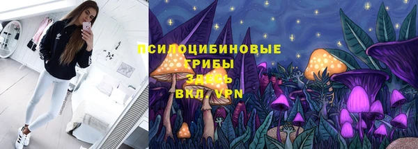 дмт Баксан